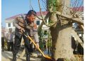 Kapolda Kaltim Tanam Pohon dan Tebar Bibit Ikan, Wujud Komitmen Lingkungan dan Ketahanan Pangan
