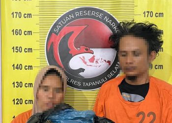 Satresnarkoba Polres Tapsel Gagalkan Peredaran 3 Kg Ganja, Dua Pelaku Ditangkap Gunakan Becak Motor