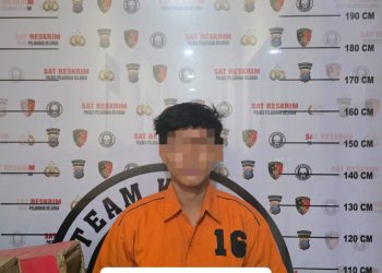 Polres Pelabuhan Belawan Ungkap Kasus Pembakaran Rumah, Satu Pelaku Diamankan