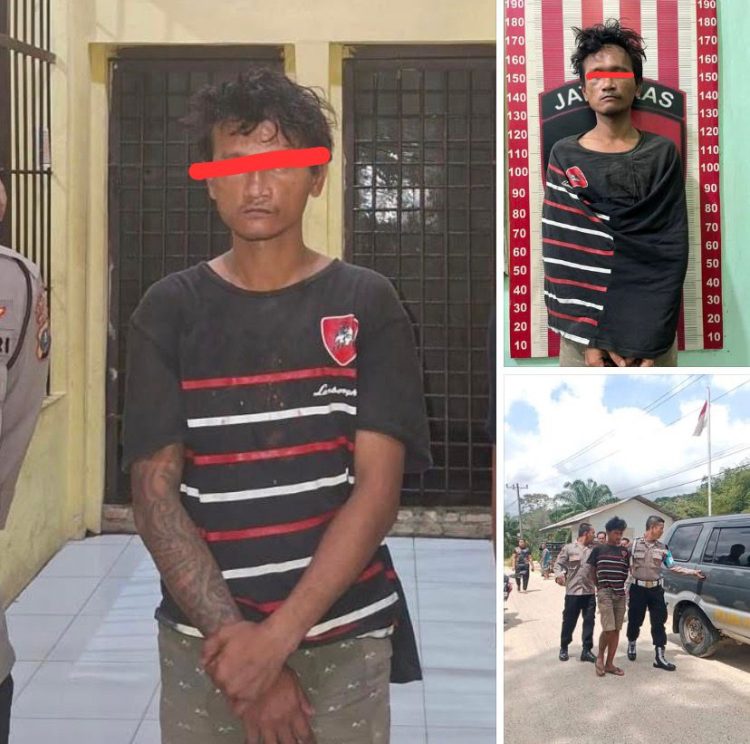 POLRES TAPTENG UNGKAP KASUS PENCABULAN ANAK DI KECAMATAN BADIRI, PELAKU BERHASIL DIAMANKAN
