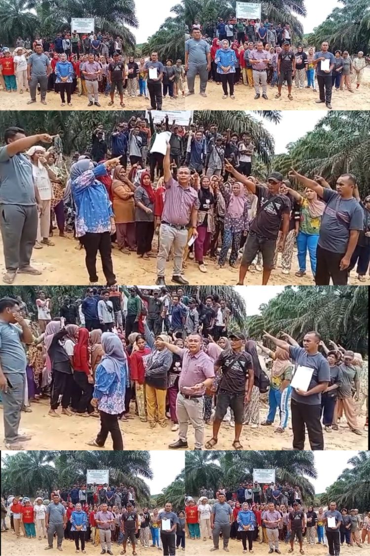 Masyarakat Luat Unterudang Minta PT Barapala Diusir Dari Lahan Warga