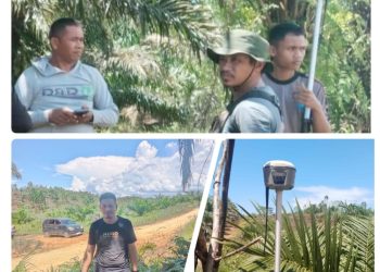 Diduga Terjadi Tumpang Tindih SHM, Tim BPN Berau Turun Verifikasi Lahan di Talisayan