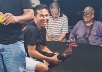Sindikat ‘Edy’ Tantang Hukum: Gelar Turnamen Besar Besok, Polsek Kutalimbaru Pilih ‘Mati Suri’?
