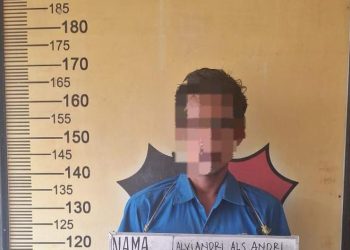 Curi Seng hingga Sepeda Lipat Milik IRT di Medan Deli, Pria 38 Tahun Dibekuk Polisi