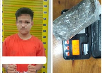 Polisi Tangkap Pengedar Ganja di Medan Denai, Sita Hampir 60 Gram Barang Bukti