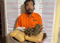 Polsek Bahorok Gagalkan Peredaran 2 Kilogram Ganja di Bukit Lawang, Seorang Pria Diamankan