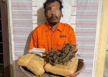 Polsek Bahorok Gagalkan Peredaran 2 Kilogram Ganja di Bukit Lawang, Seorang Pria Diamankan