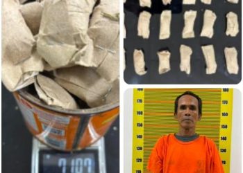 Pengedar Ganja di Medan Area Diciduk Saat Transaksi, Polisi Sita 24 Bungkus Siap Edar