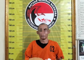 Pria 53 Tahun di Padangsidimpuan Ditangkap Saat Bawa 900 Gram Ganja di Jalinsum