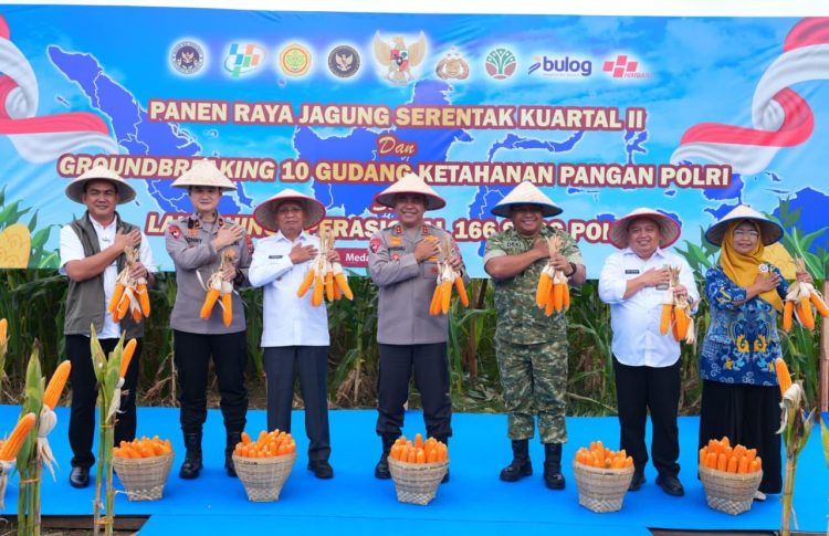 Polda Sumut Ikuti Panen Raya Jagung Serentak Polri Bersama Presiden Prabowo, Dukung Ketahanan Pangan Nasional