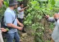 Door Stop Kasat Res Narkoba Polresta Deli Serdang: Mei 2026 Ungkap 28 Kasus, Sita 860 Gram Sabu hingga 40 Batang Ganja