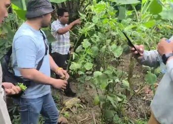 Door Stop Kasat Res Narkoba Polresta Deli Serdang: Mei 2026 Ungkap 28 Kasus, Sita 860 Gram Sabu hingga 40 Batang Ganja
