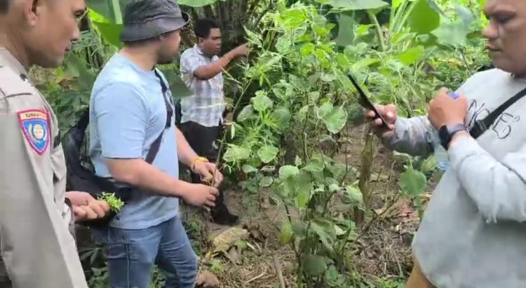 Door Stop Kasat Res Narkoba Polresta Deli Serdang: Mei 2026 Ungkap 28 Kasus, Sita 860 Gram Sabu hingga 40 Batang Ganja