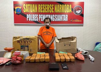 Polres Pematangsiantar Ungkap Peredaran Ganja 7 Kg, Satu Tersangka Ditangkap