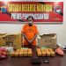 Polres Pematangsiantar Ungkap Peredaran Ganja 7 Kg, Satu Tersangka Ditangkap