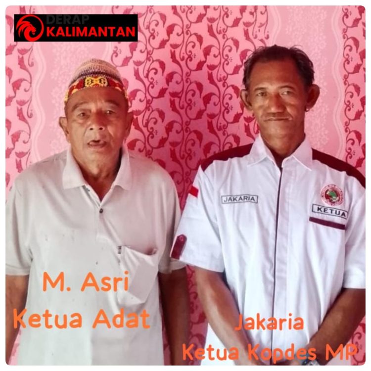 Sengketa Tanah Adat Daliun Memanas, Kopdes Merah Putih Dumaring Bantah Tuduhan Penyerobotan Lahan