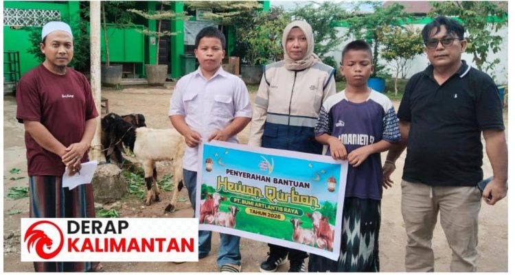 PT BAR Tebar Kepedulian di Iduladha 1447 H, Salurkan Bantuan Hewan Kurban untuk Anak Panti di Berau