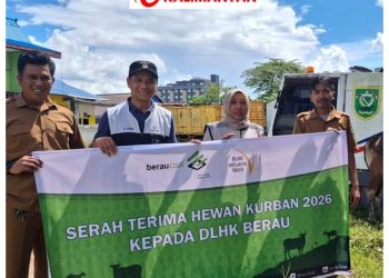 PT BAR Serahkan Hewan Kurban kepada DLHK Berau, Wujud Kepedulian Sosial Sambut Iduladha 1447 H