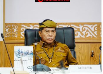 Pemprov Siapkan 59 Sapi Kurban untuk Iduladha 1447 H, Tersebar di Seluruh Daerah 