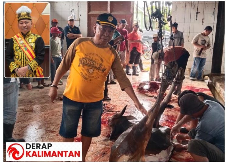 Sultan Gunung Tabur Adji Raden Moch Bachroen : Sampaikan Terima Kasih kepada PT BAR atas Bantuan Hewan Kurban Iduladha 1447 H