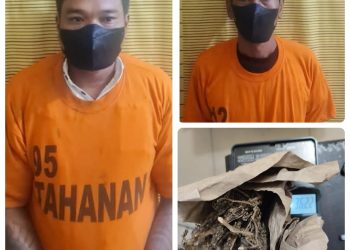 Polsek Binjai Kota, Ciduk Dua Pria Pengedar Narkoba