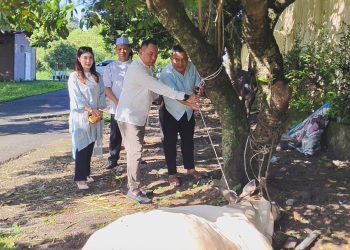 Hari Raya Idul Adha 1447 H, Polres Binjai Sembelih 7 Ekor Sapi dan 3 Ekor Kambing
