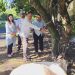Hari Raya Idul Adha 1447 H, Polres Binjai Sembelih 7 Ekor Sapi dan 3 Ekor Kambing