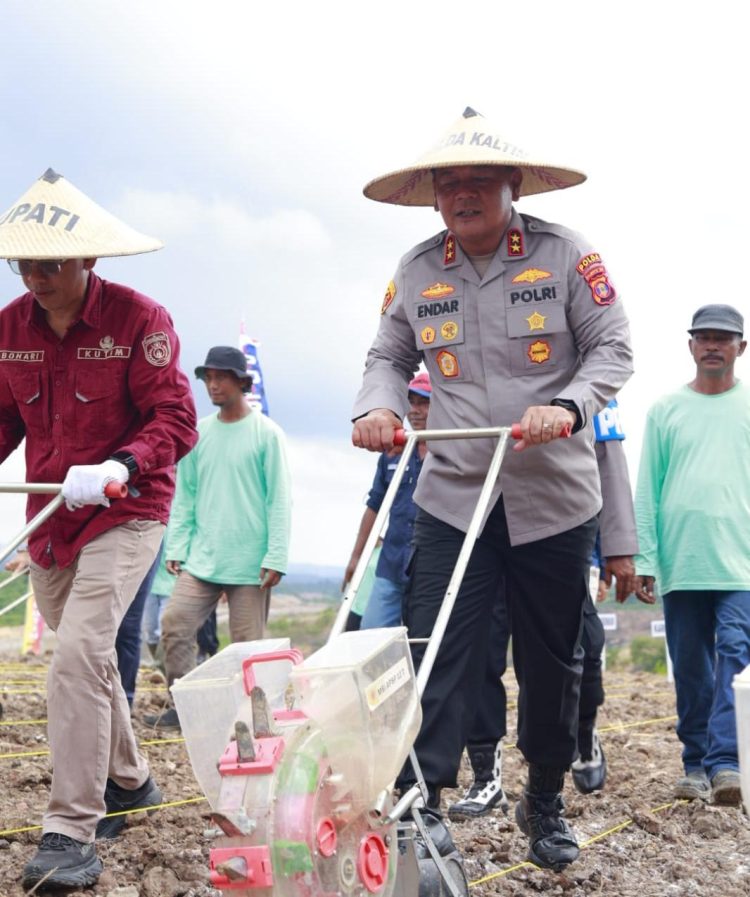 Kapolda Kaltim dan Forkopimda Kutim Tanam Benih Jagung di Lahan Eks Tambang, Wujud Nyata Ketahanan Pangan Berkelanjutan
