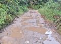 Warga Tanah Merah Samarinda Utara Harapkan Pengecoran Jalan 1,5 Kilometer yang Bertahun-Tahun Belum Tersentuh Pembangunan