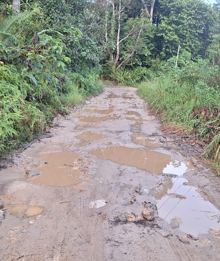 Warga Tanah Merah Samarinda Utara Harapkan Pengecoran Jalan 1,5 Kilometer yang Bertahun-Tahun Belum Tersentuh Pembangunan