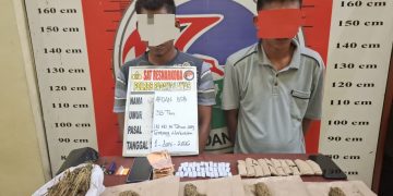 Satres Narkoba Polres Padang Lawas Tangkap Dua Terduga Pengedar Ganja, Ratusan Gram Barang Bukti Disita