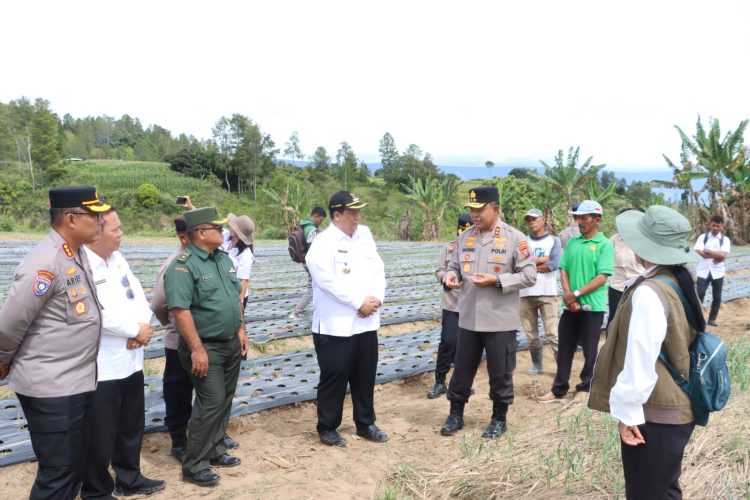 Kapolda Sumut Tinjau Sentra Bawang Putih di Samosir, Tegaskan Dukungan Polri untuk Ketahanan Pangan Nasional