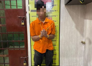 Sat Narkoba Polres Langkat Ungkap Kasus Narkotika, Satu Pelaku Diamankan