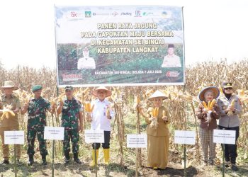 Wakapolres Langkat Hadiri Panen Raya Jagung Bersama Gapoktan Maju Bersama di Sei Bingai