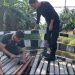 Wujud Kepedulian terhadap Keselamatan Warga, Polsek Babulu Bergerak Cepat Perbaiki Jembatan Penghubung