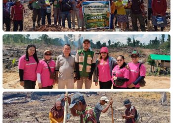 Didampingi Penyuluh Pertanian, Kelompok Tani Karya Bersama Mulai Pengembangan Jagung Hibrida