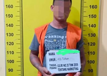 Bawa 7,43 Gram Ganja, Pria Asal Galang Diamankan Satresnarkoba Polresta Deli Serdang
