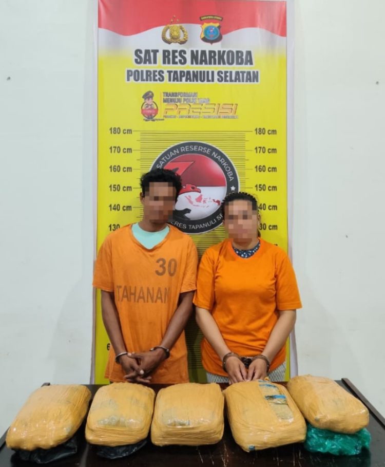 Gagalkan Peredaran 5 Kilogram Ganja, Satresnarkoba Polres Tapanuli Selatan Amankan Dua Tersangka