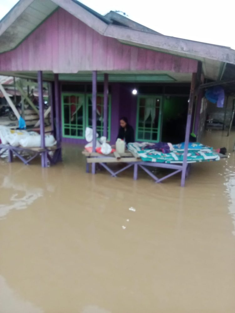 Tambang Tutup, Lumpur Tertinggal: Warga Bakungan Kehilangan Sawah dan Kebun
