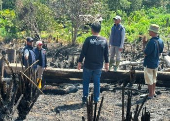 Polda Kaltim Tangani 23 Kasus Karhutla, Lima Tersangka Diproses Hukum