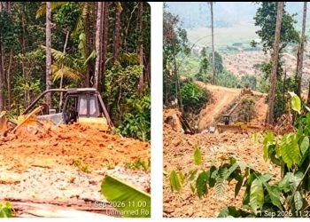 Alat Berat Masuk, Tanaman Rusak: Sengketa Lahan Poktan Maluang Jaya Dibawa ke Polisi